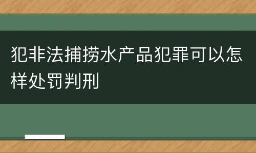 犯非法捕捞水产品犯罪可以怎样处罚判刑