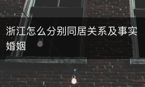 浙江怎么分别同居关系及事实婚姻