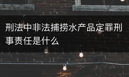 刑法中非法捕捞水产品定罪刑事责任是什么