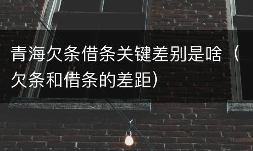 青海欠条借条关键差别是啥（欠条和借条的差距）