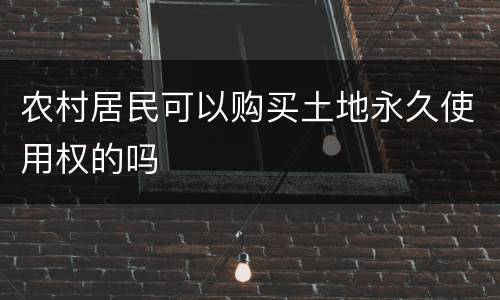 农村居民可以购买土地永久使用权的吗