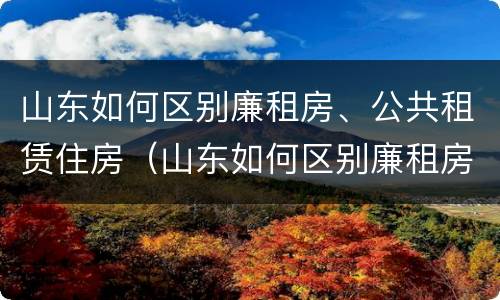 山东如何区别廉租房、公共租赁住房（山东如何区别廉租房,公共租赁住房等级）