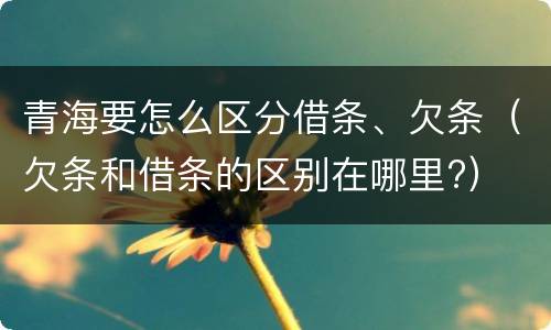青海要怎么区分借条、欠条（欠条和借条的区别在哪里?）
