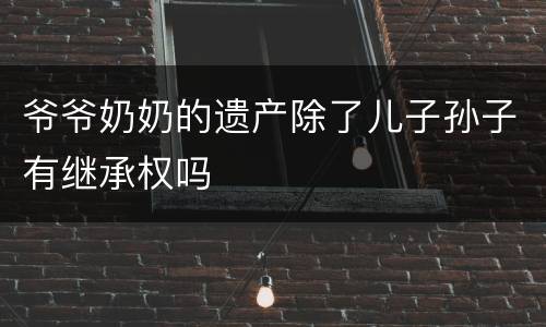 爷爷奶奶的遗产除了儿子孙子有继承权吗