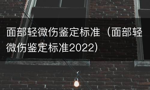 面部轻微伤鉴定标准（面部轻微伤鉴定标准2022）