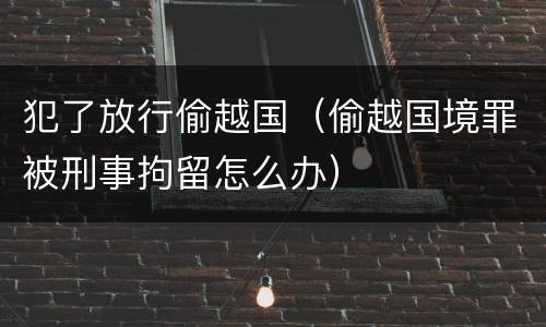 犯了放行偷越国（偷越国境罪被刑事拘留怎么办）