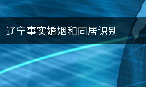 辽宁事实婚姻和同居识别