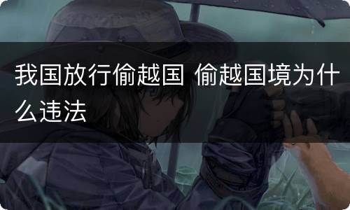 我国放行偷越国 偷越国境为什么违法