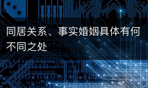 同居关系、事实婚姻具体有何不同之处