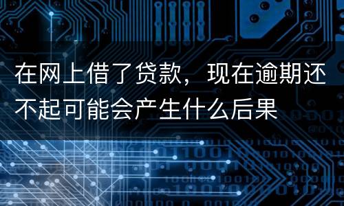 在网上借了贷款，现在逾期还不起可能会产生什么后果