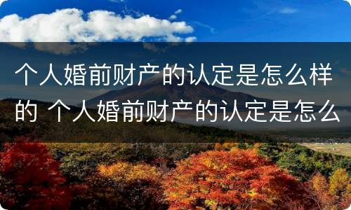 个人婚前财产的认定是怎么样的 个人婚前财产的认定是怎么样的程序
