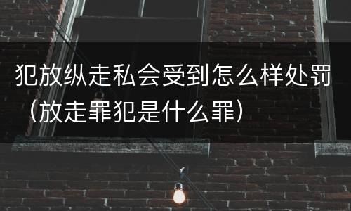 犯放纵走私会受到怎么样处罚（放走罪犯是什么罪）