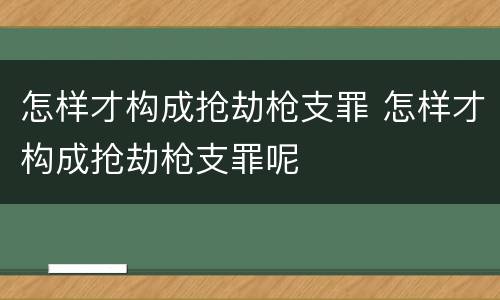 怎样才构成抢劫枪支罪 怎样才构成抢劫枪支罪呢