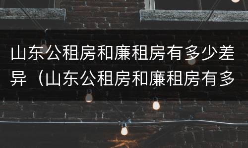 山东公租房和廉租房有多少差异（山东公租房和廉租房有多少差异啊）