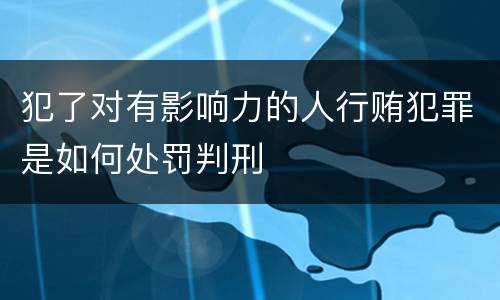 犯了对有影响力的人行贿犯罪是如何处罚判刑
