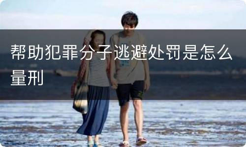 帮助犯罪分子逃避处罚是怎么量刑