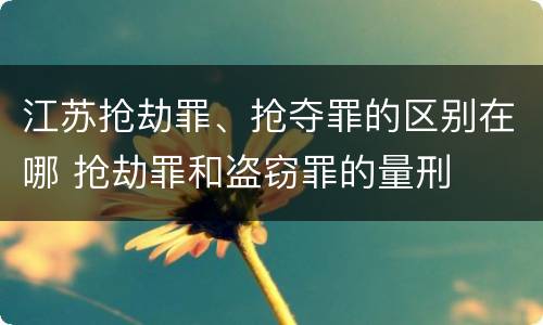 江苏抢劫罪、抢夺罪的区别在哪 抢劫罪和盗窃罪的量刑