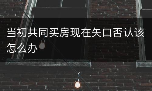 当初共同买房现在矢口否认该怎么办