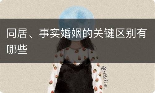 同居、事实婚姻的关键区别有哪些