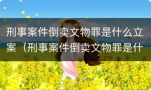 刑事案件倒卖文物罪是什么立案（刑事案件倒卖文物罪是什么立案条件）