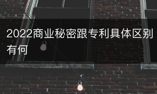 2022商业秘密跟专利具体区别有何