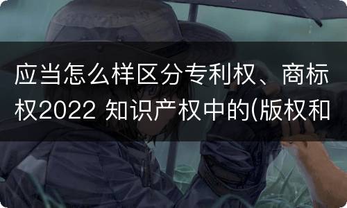 应当怎么样区分专利权、商标权2022 知识产权中的(版权和商标权与标准