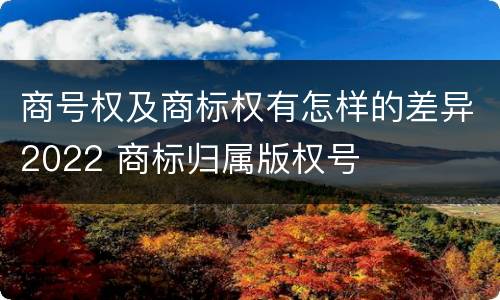 商号权及商标权有怎样的差异2022 商标归属版权号