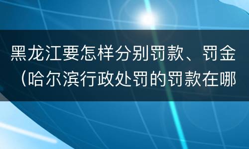 黑龙江要怎样分别罚款、罚金（哈尔滨行政处罚的罚款在哪交）