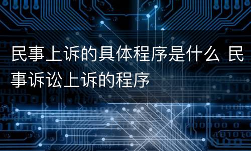 民事上诉的具体程序是什么 民事诉讼上诉的程序