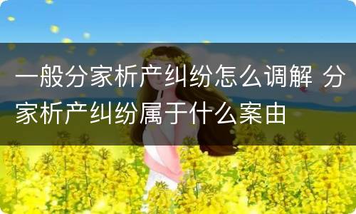 一般分家析产纠纷怎么调解 分家析产纠纷属于什么案由