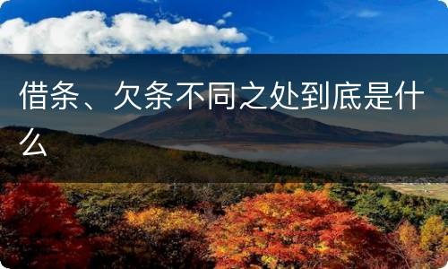 借条、欠条不同之处到底是什么