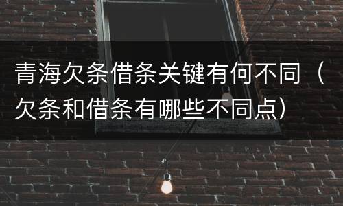 青海欠条借条关键有何不同（欠条和借条有哪些不同点）