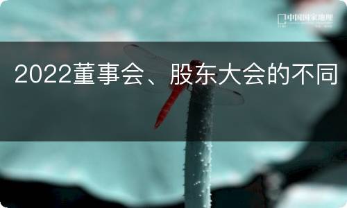 2022董事会、股东大会的不同