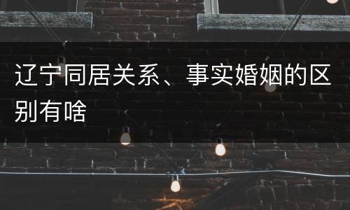 辽宁同居关系、事实婚姻的区别有啥