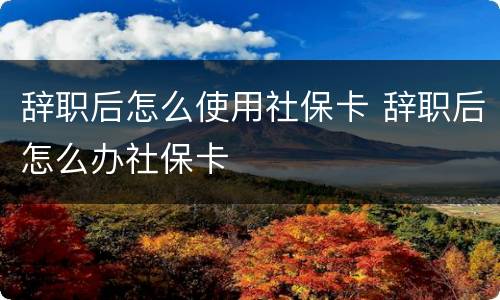 辞职后怎么使用社保卡 辞职后怎么办社保卡