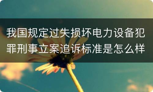 我国规定过失损坏电力设备犯罪刑事立案追诉标准是怎么样规定