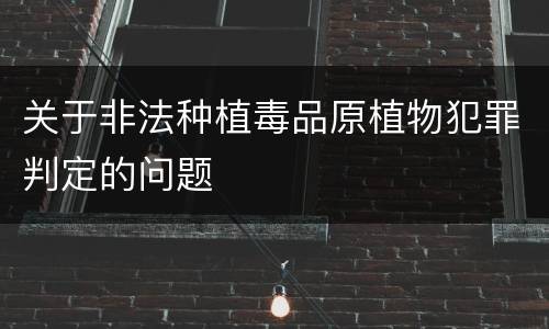 关于非法种植毒品原植物犯罪判定的问题