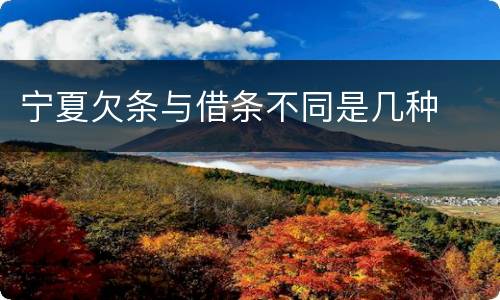 宁夏欠条与借条不同是几种