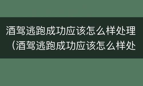 酒驾逃跑成功应该怎么样处理（酒驾逃跑成功应该怎么样处理呢）