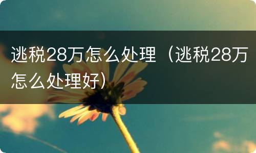 逃税28万怎么处理（逃税28万怎么处理好）