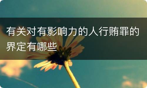有关对有影响力的人行贿罪的界定有哪些