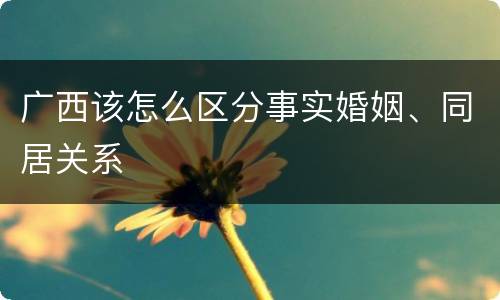 广西该怎么区分事实婚姻、同居关系