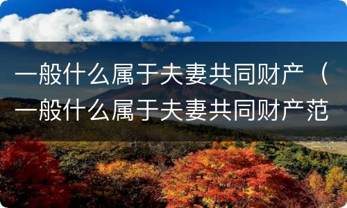 一般什么属于夫妻共同财产（一般什么属于夫妻共同财产范围）