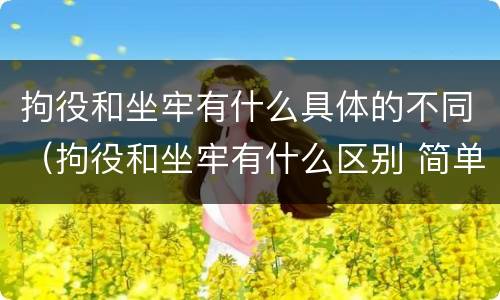 拘役和坐牢有什么具体的不同（拘役和坐牢有什么区别 简单地说）