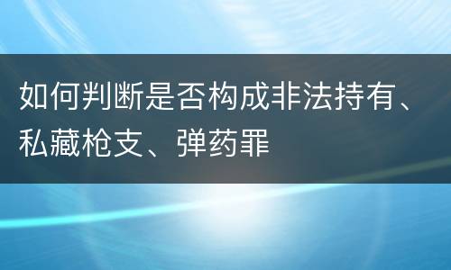 如何判断是否构成非法持有、私藏枪支、弹药罪