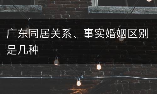 广东同居关系、事实婚姻区别是几种