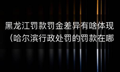 黑龙江罚款罚金差异有啥体现（哈尔滨行政处罚的罚款在哪交）