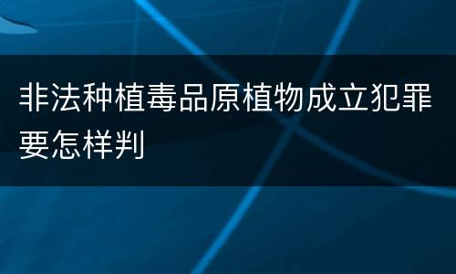 非法种植毒品原植物成立犯罪要怎样判