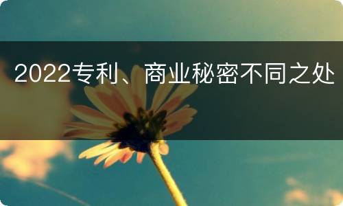 2022专利、商业秘密不同之处
