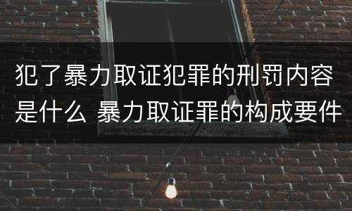 犯了暴力取证犯罪的刑罚内容是什么 暴力取证罪的构成要件